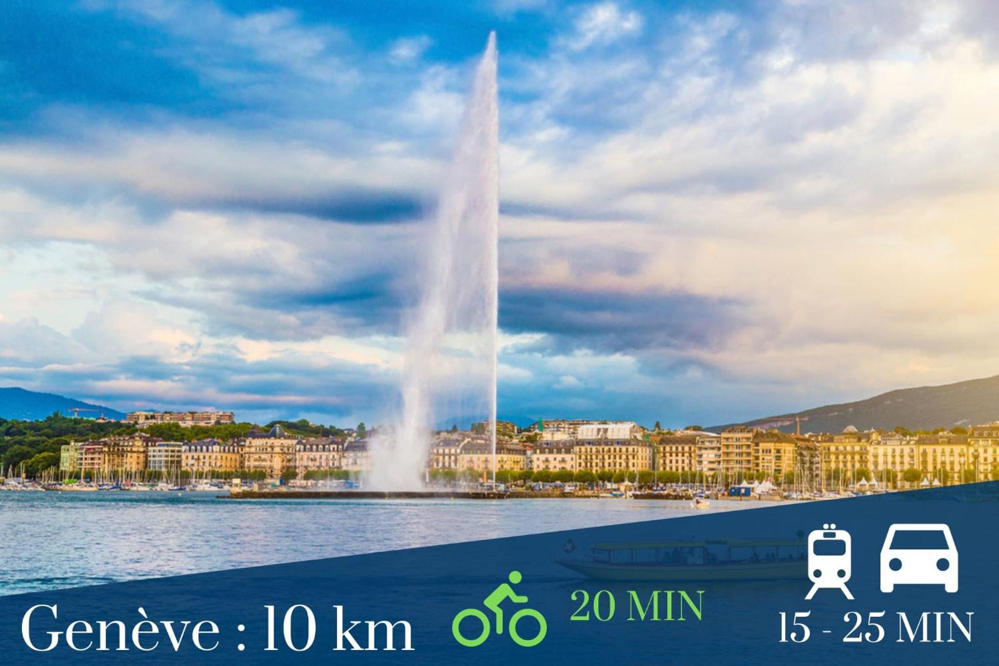 Homey Infinity New/Centre/Proche Geneve Аннмасс Екстер'єр фото